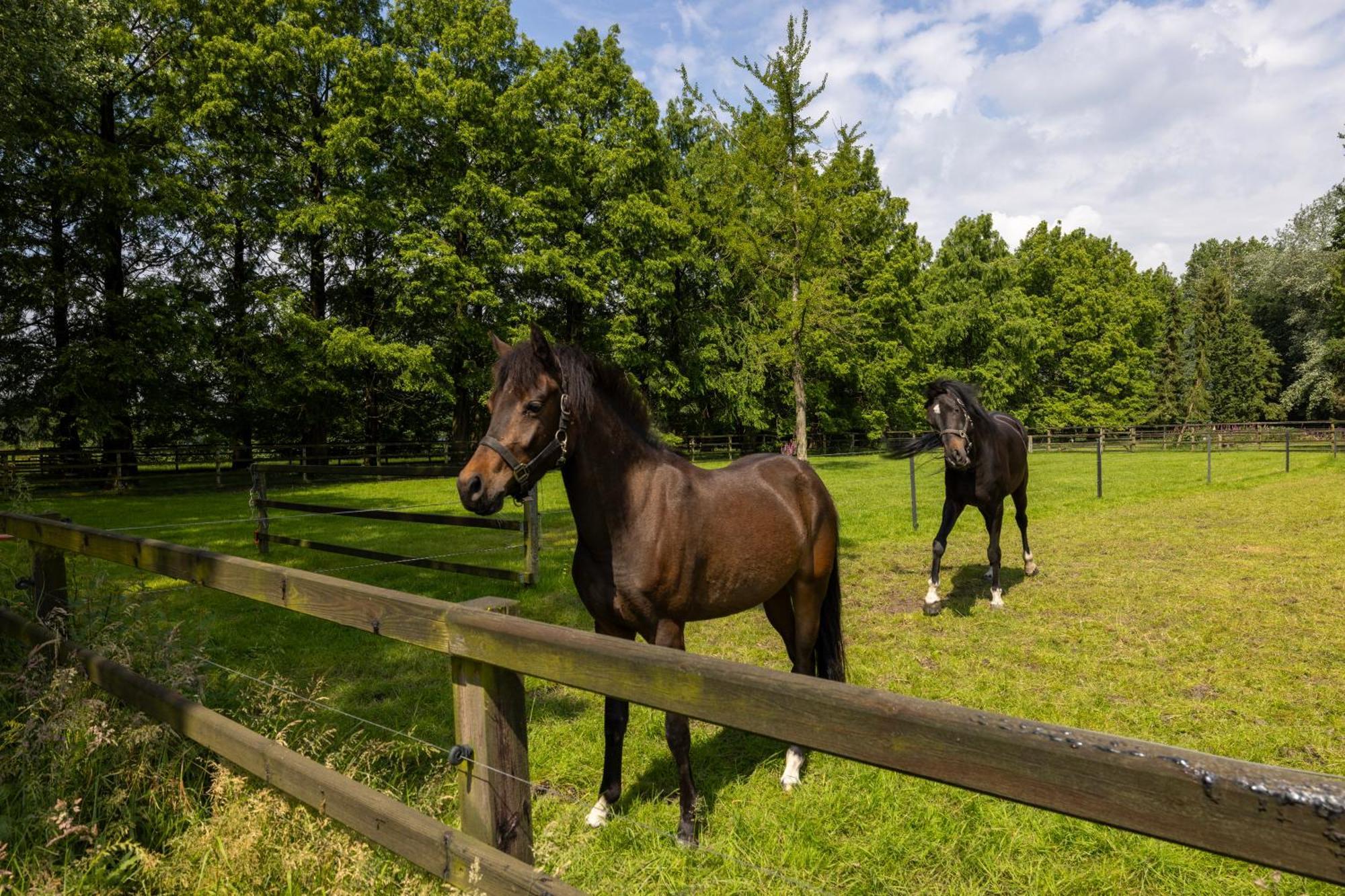 Luxe Hofstede Met Paardenstalling Lunteren Exteriér fotografie